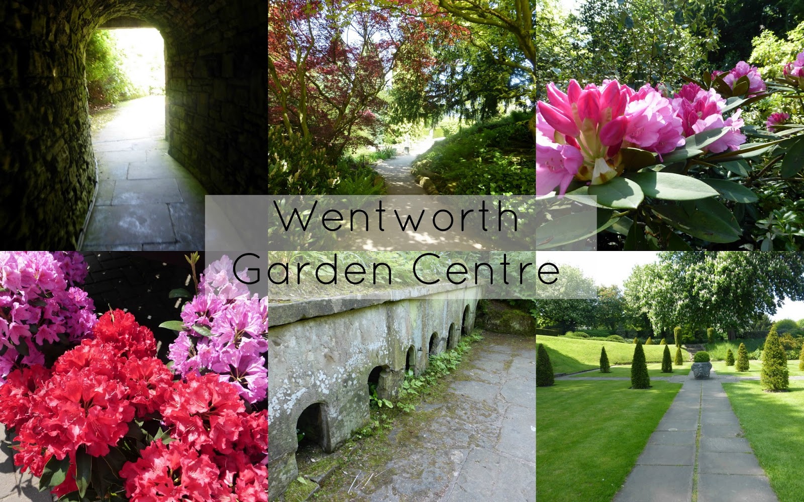 Wentworth Garden Centre