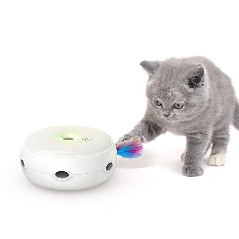 Tried and Tested Cat Products You NEED 7 VAVA Pet Chase Toy , Tried and Tested Cat Products You NEED