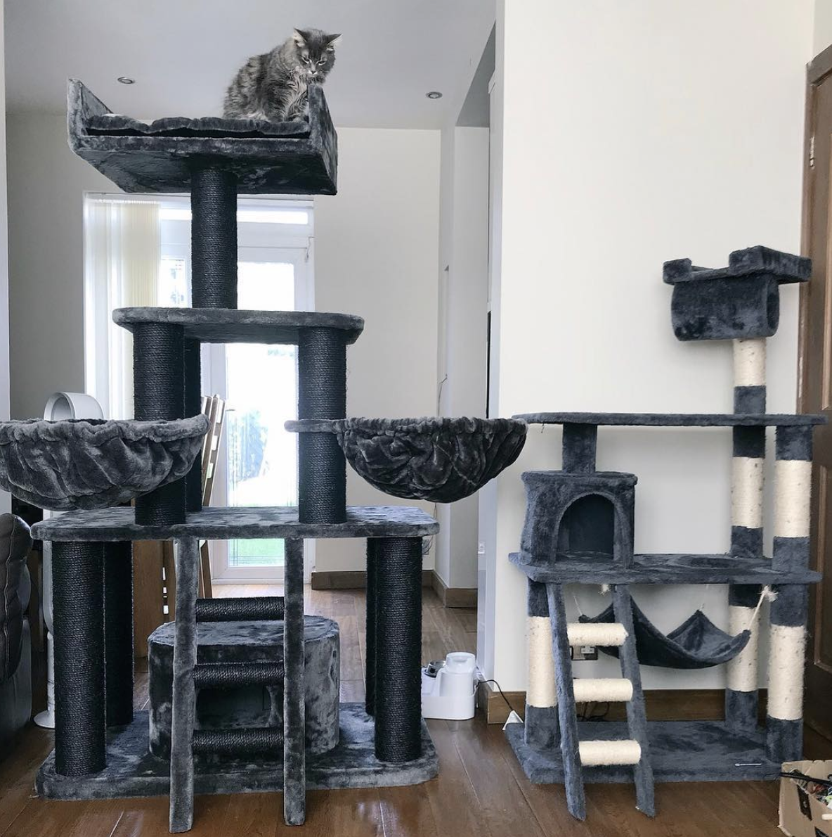 Tried and Tested Cat Products You NEED 11 Tried and Tested Cat Products You NEED