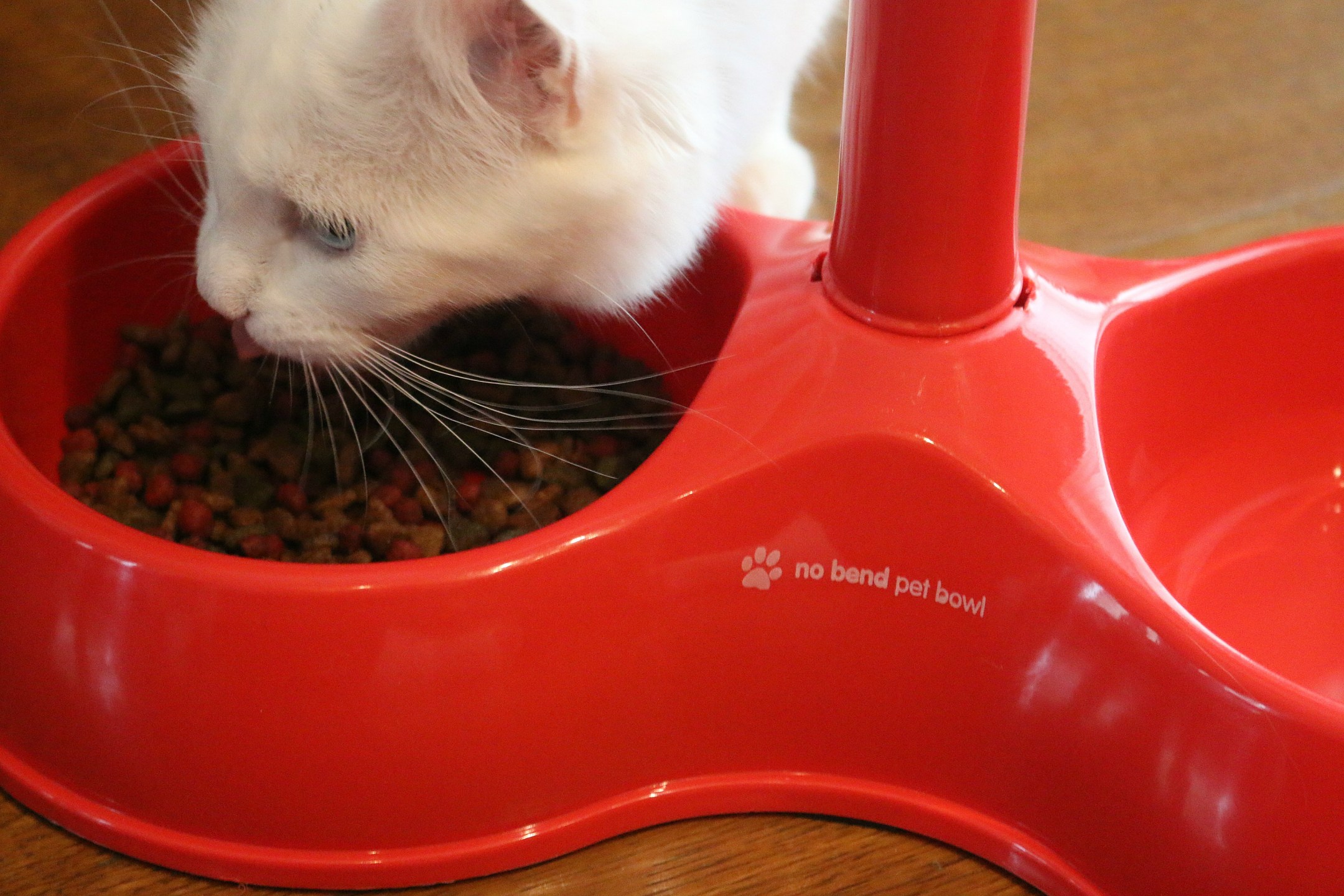 Christmas Gift Guide for Disabled People 1 gift guide for disabled people, no bend pet bowl