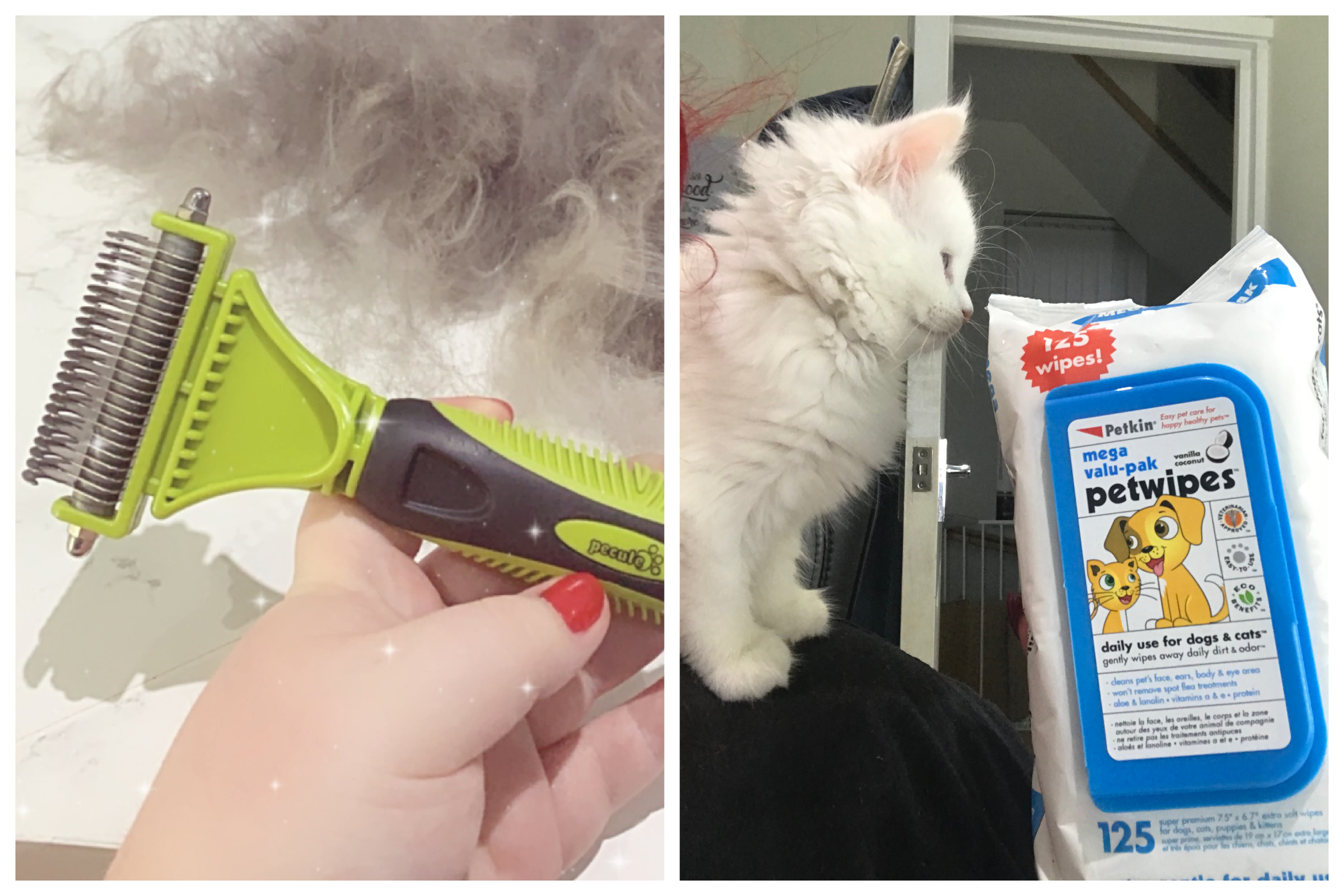 Tried and Tested Cat Products You NEED 13 Tried and Tested Cat Products You NEED