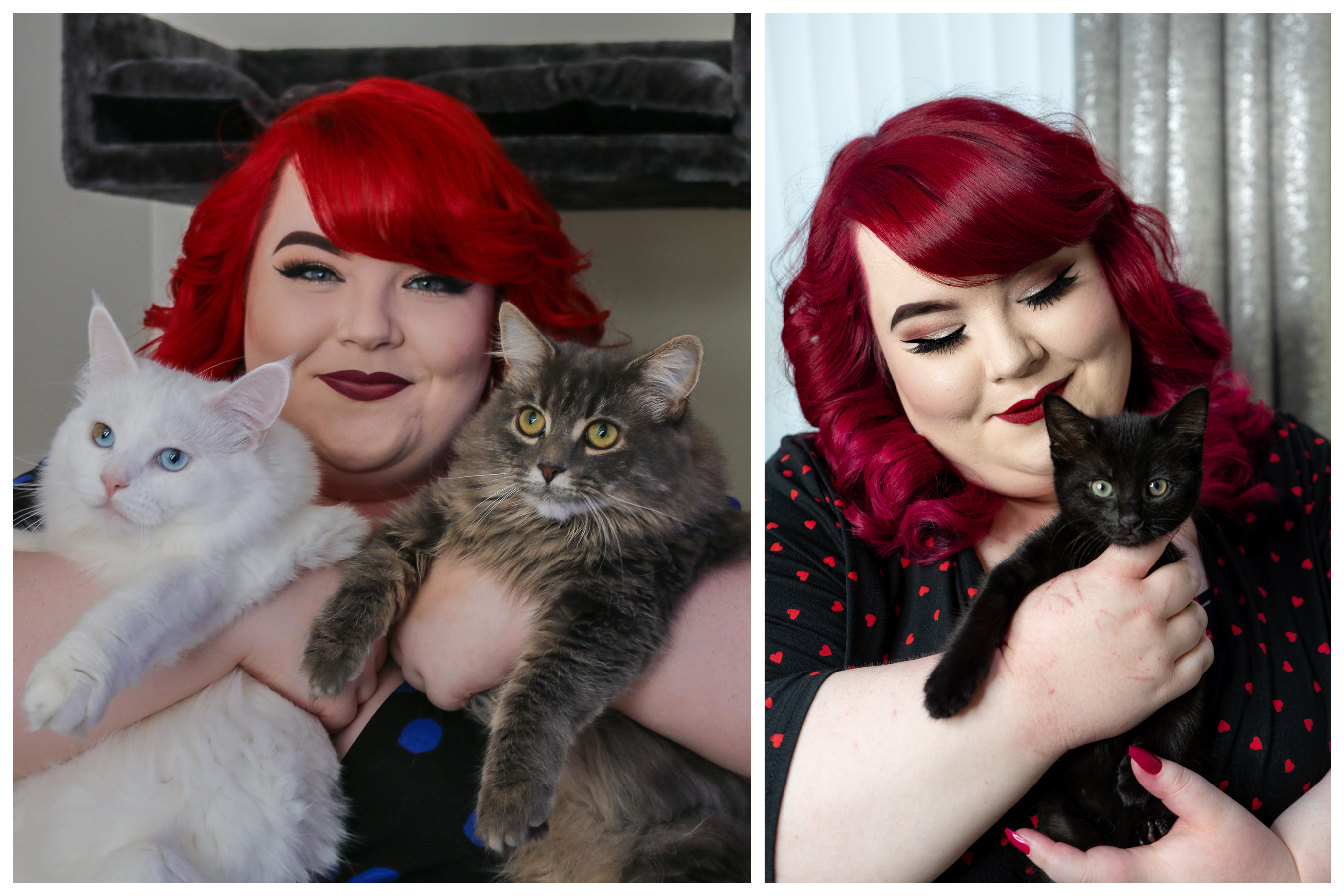 Tried and Tested Cat Products You NEED