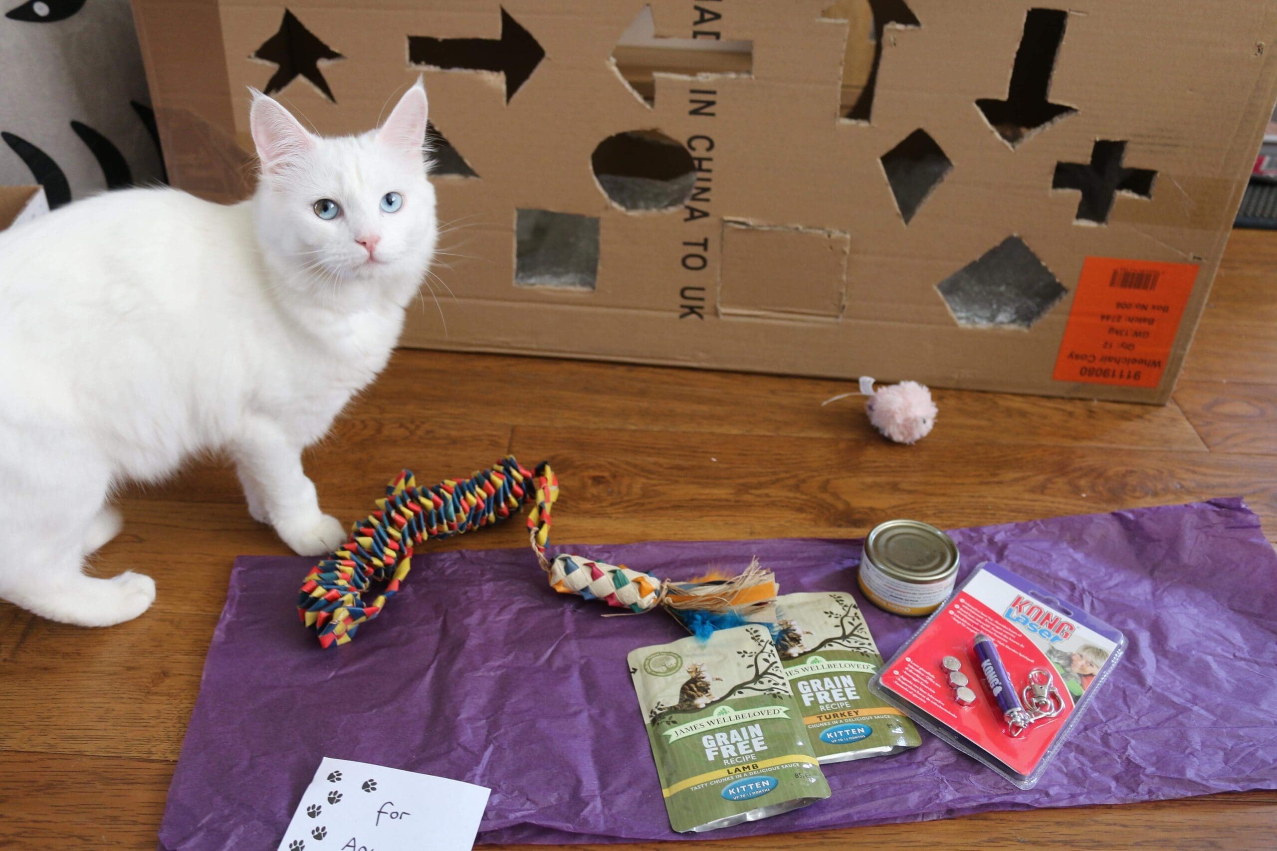 Tried and Tested Cat Products You NEED 14 Tried and Tested Cat Products You NEED