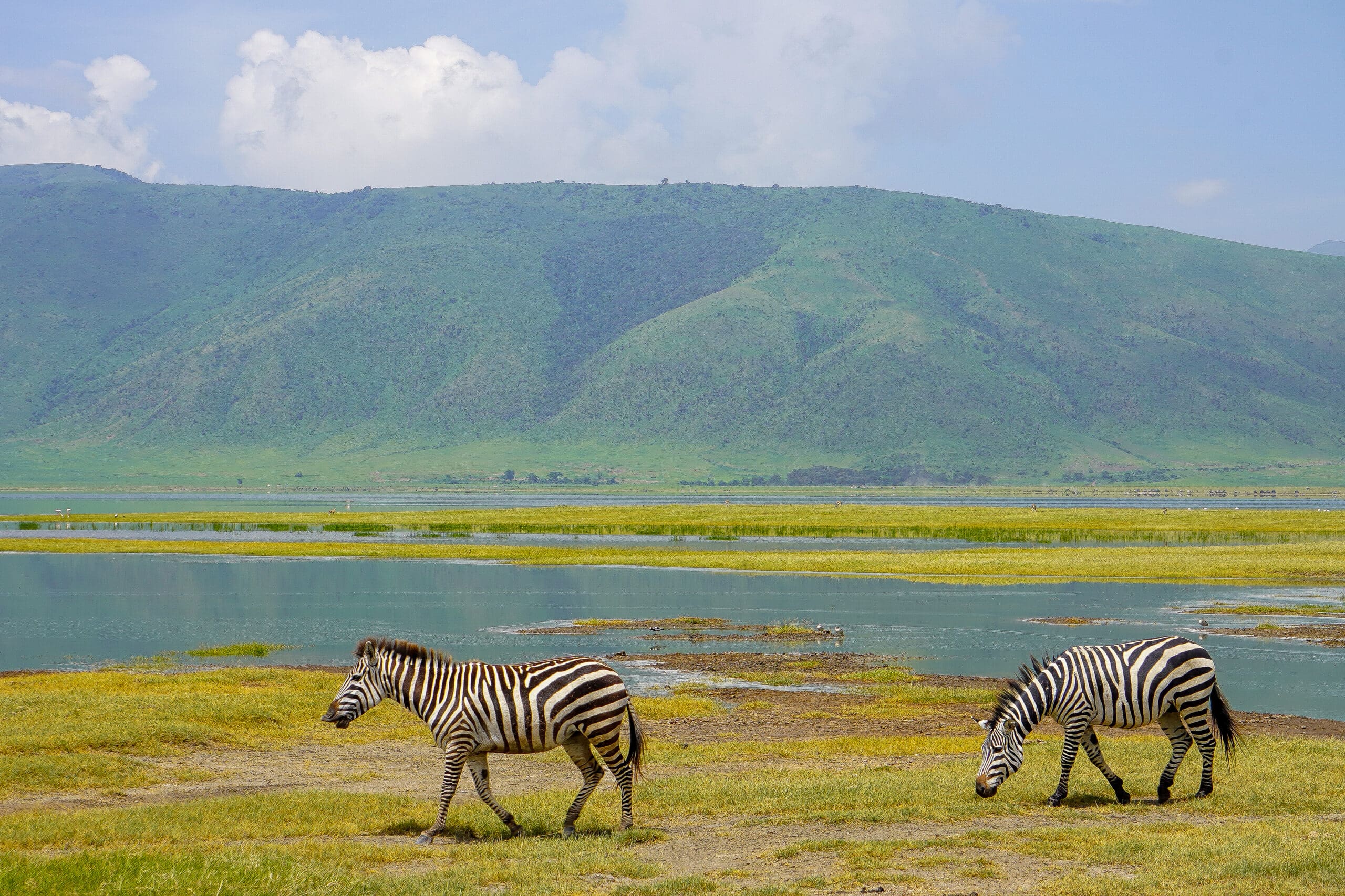 Mousebird Safaris Review & African Safari Tips 1