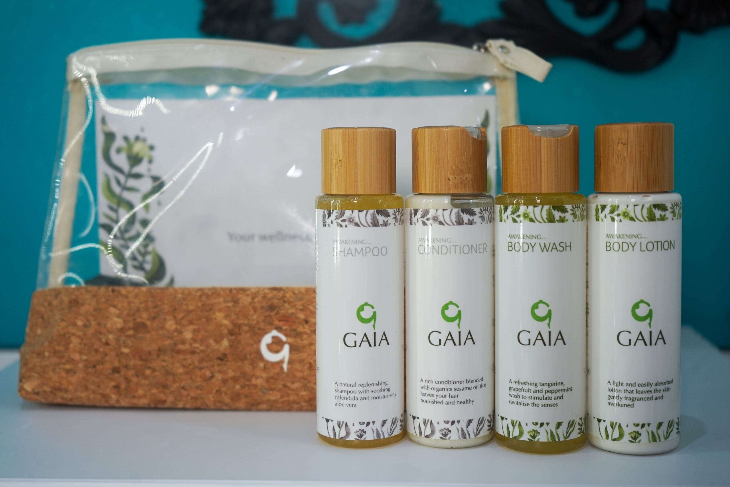 Father's Day Gift Ideas 14 GAIA, father's day gift ideas