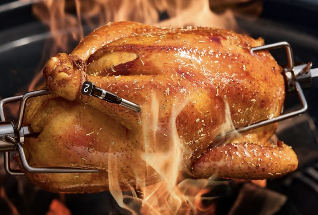 Typhur Sync Gold Review: Premium Wireless Meat Thermometer 3 Meat Thermometer