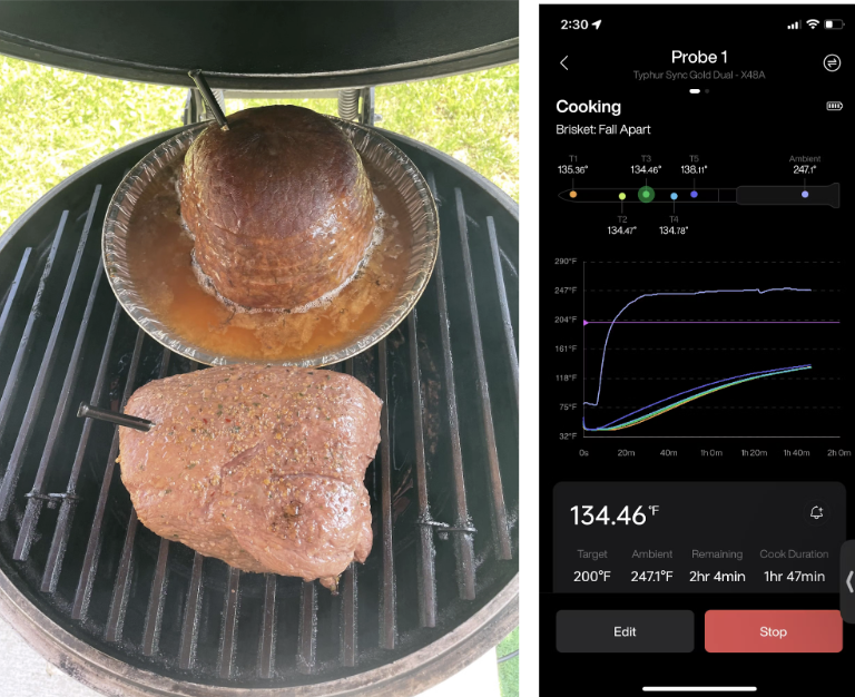 Typhur Sync Gold Review: Premium Wireless Meat Thermometer 5 Meat Thermometer