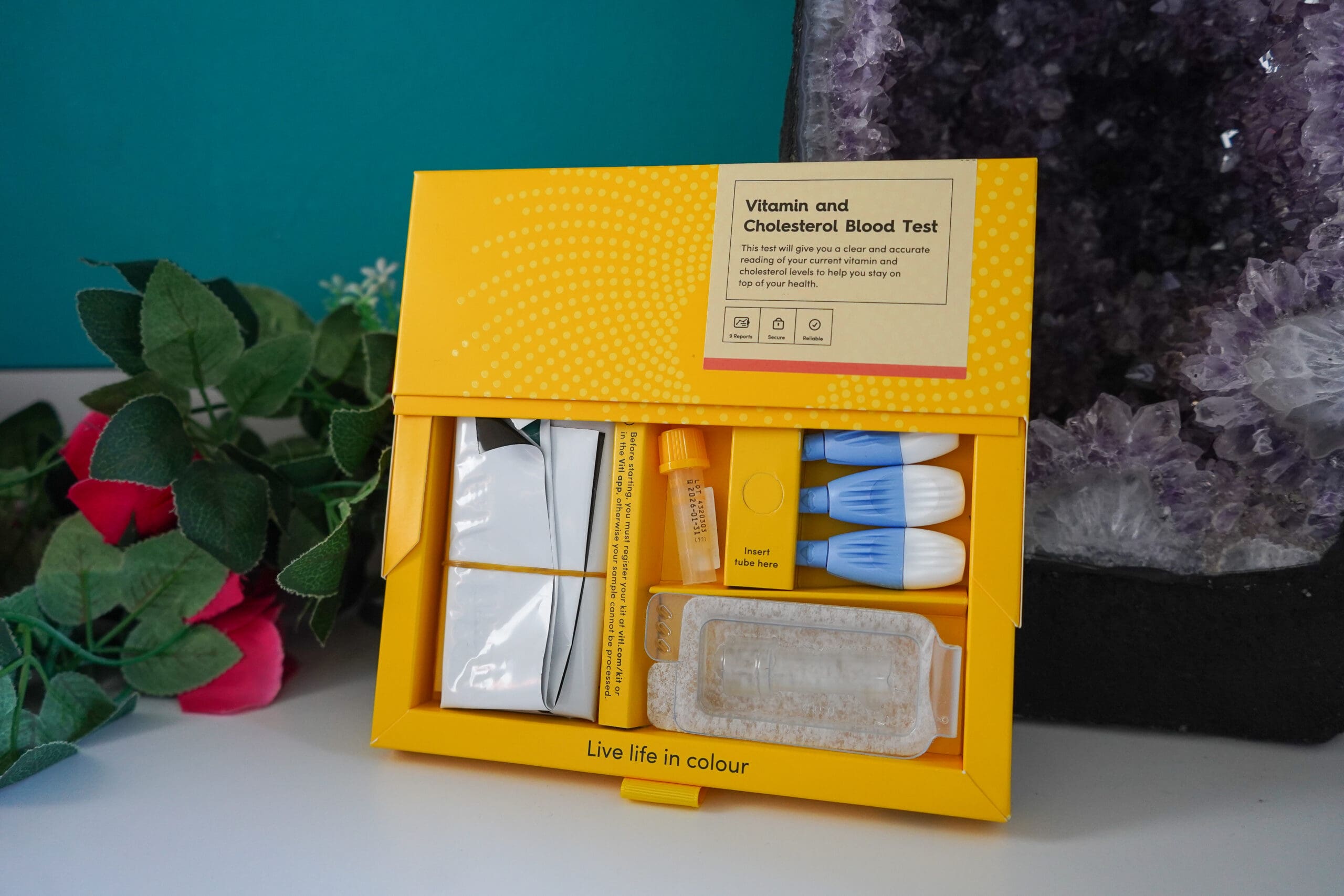 Vitl Vitamin & DNA Test Review & Discount