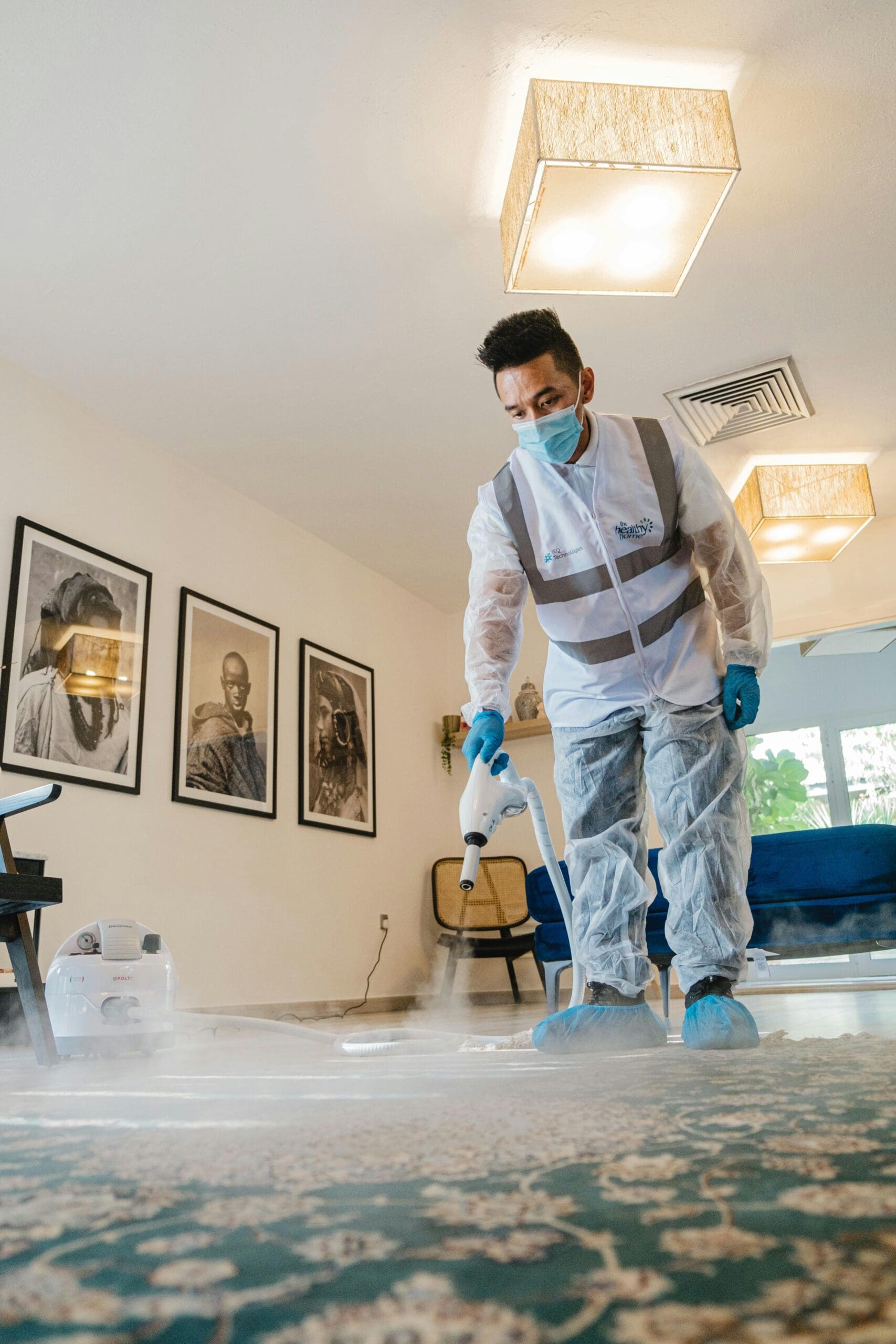 Bugs Don’t Care About Your New Backsplash: Timing Pest Control Right 1 Bugs Don’t Care About Your New Backsplash: Timing Pest Control Right