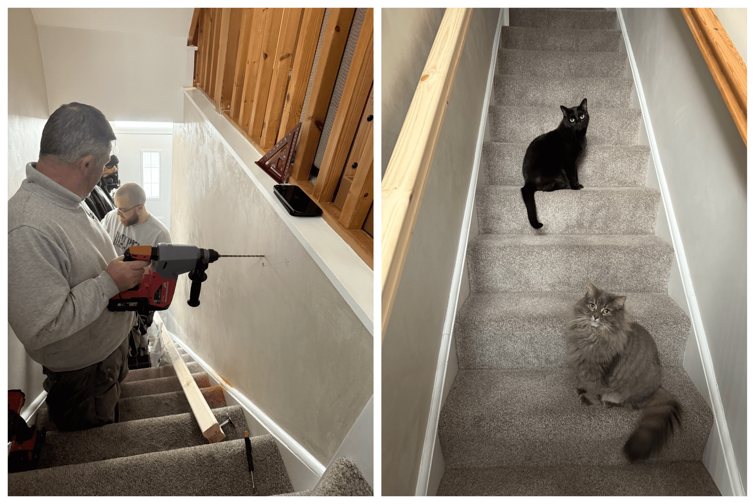 2025 Roundup - Personal Post 4 Georgina's dad and brother installing a second bannister on the stairs, second photo is two of georgina's cats on the stairs